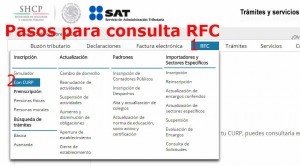 Pasos Consulta RFC con CURP