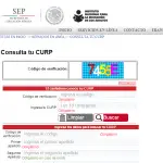 Consulta de CURP INEA